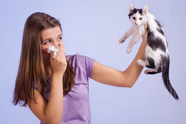 washing hands to remove cat allergens