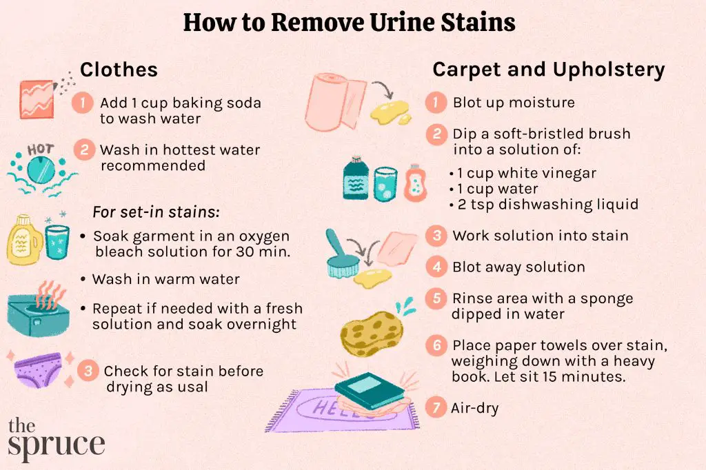 washing machine tips for cat urine stained clothes