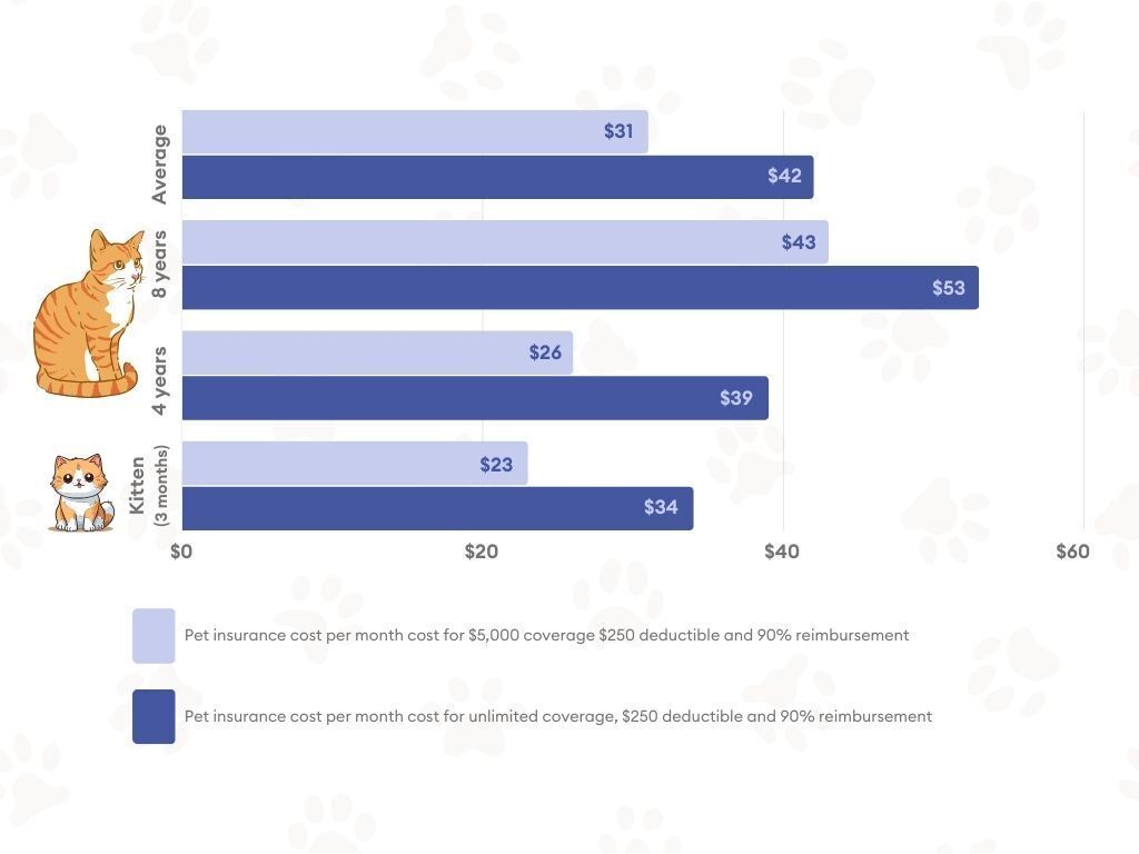 ways to lower cat insurance costs